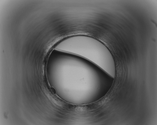 X0000103470350200809121125