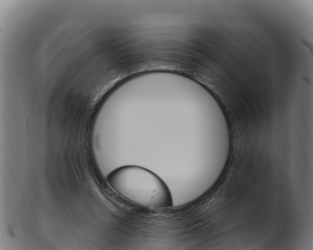 X0000103470352200809121125
