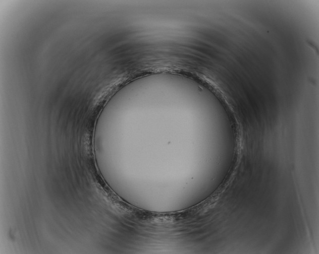 X0000103470353200809121125