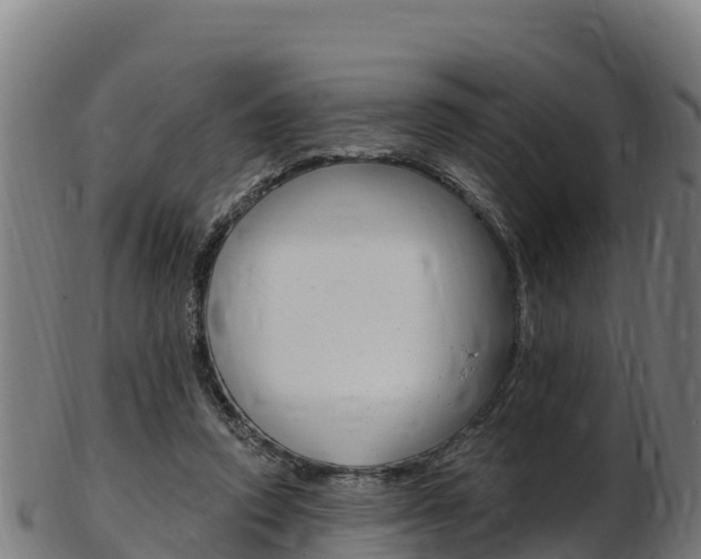 X0000103470354200809121125