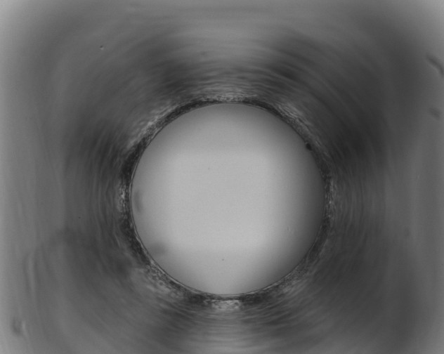 X0000103470355200809121125