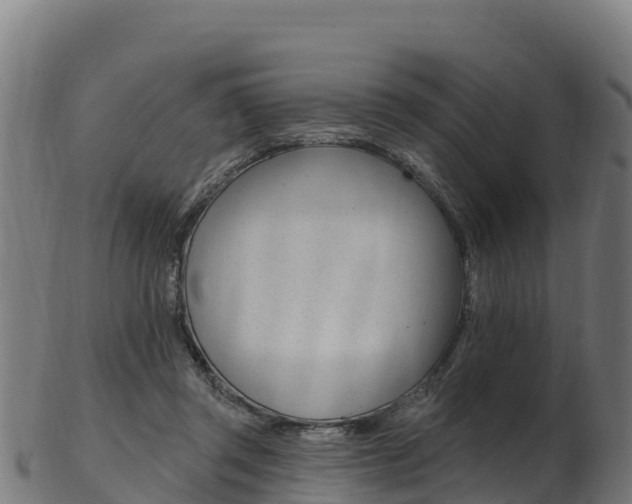 X0000103470357200809121125