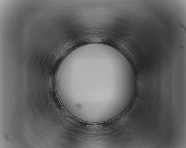 X0000103470359200809121125