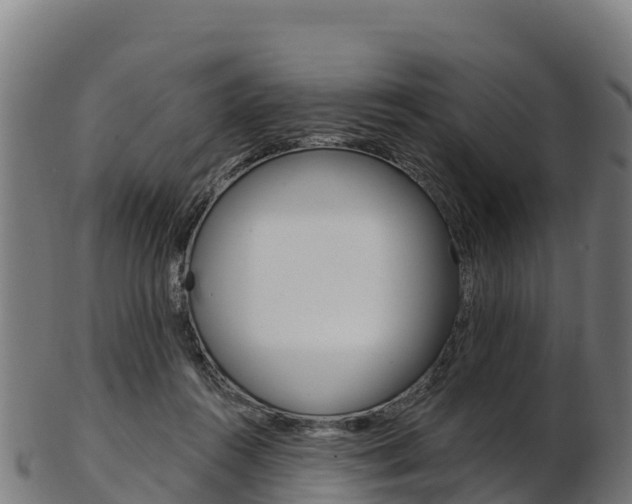 X0000103470360200809121125