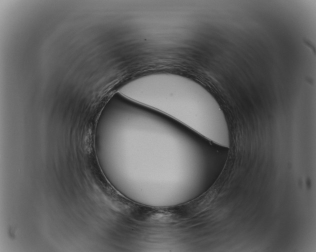 X0000103470364200809121125
