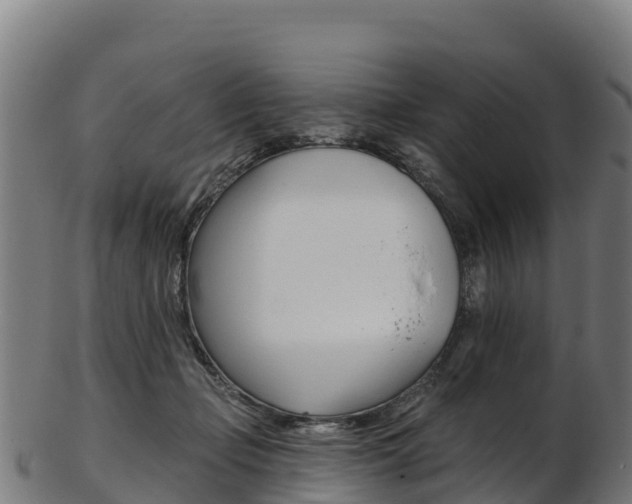 X0000103470365200809121125
