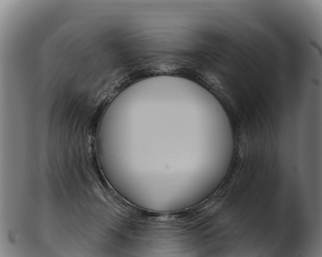X0000103470366200809121125