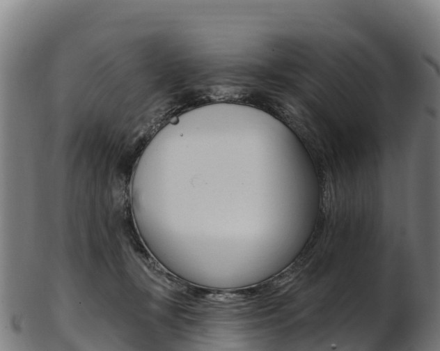 X0000103470367200809121125