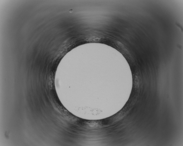 X0000103470370200809121125