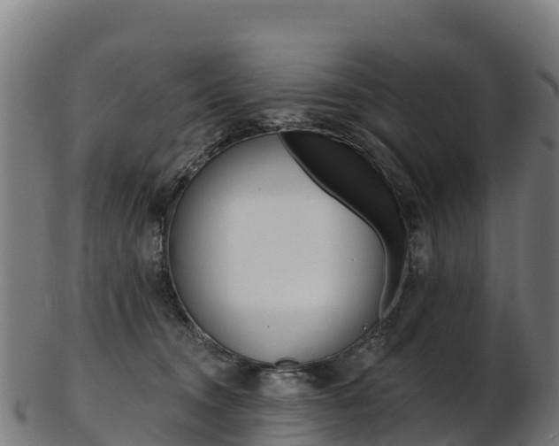 X0000103470372200809121125