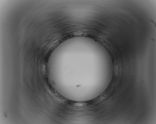 X0000103470375200809121125