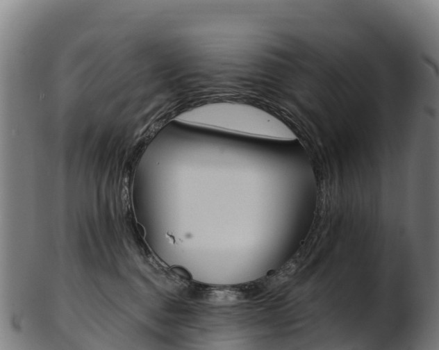 X0000103470376200809121125