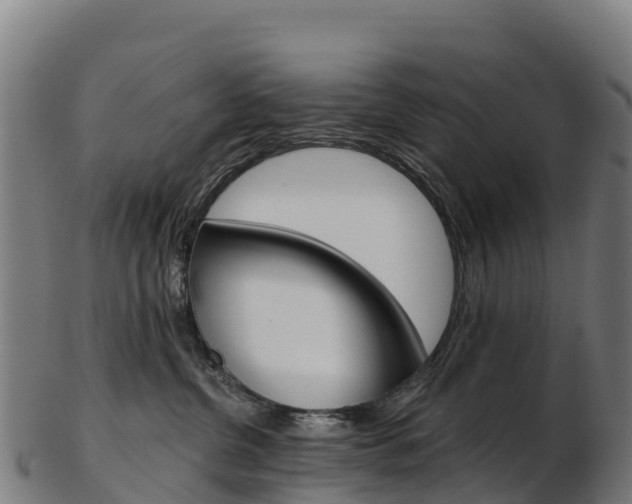 X0000103470380200809121125