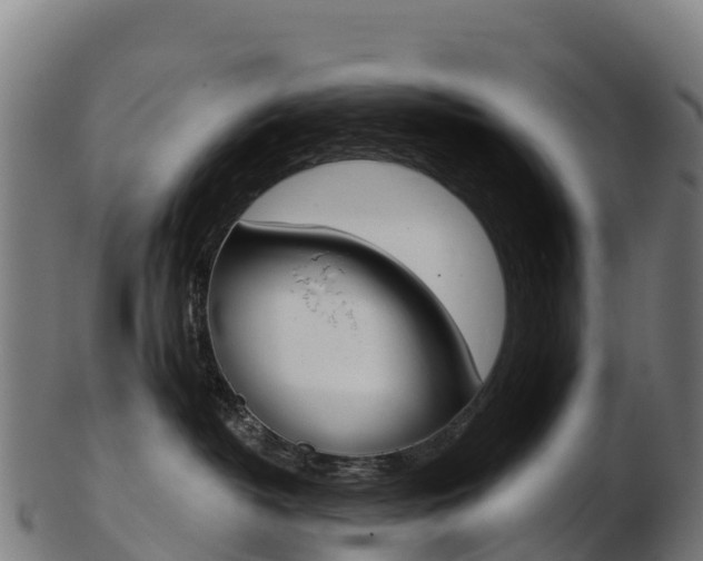 X0000103470382200809121125