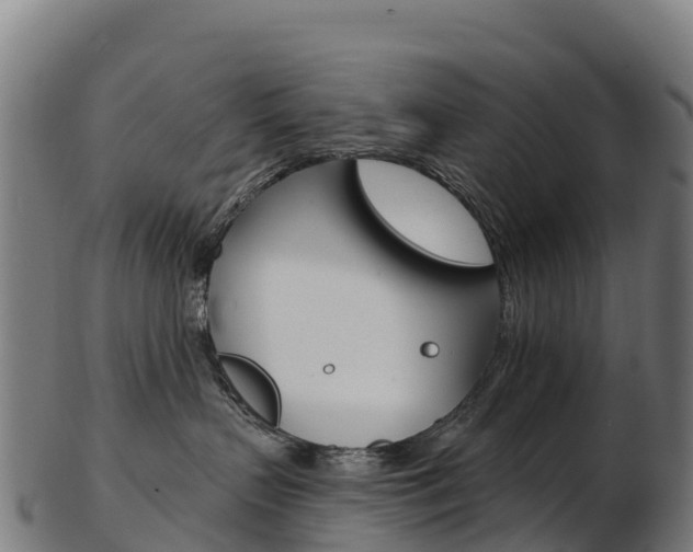 X0000103470383200809121125