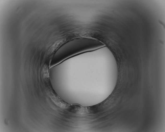 X0000103470384200809121125