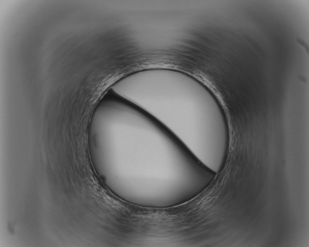 X0000103470385200809121125