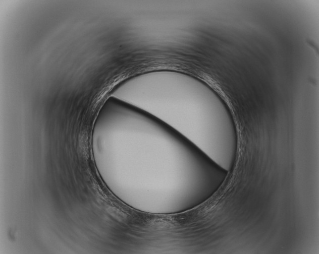 X0000103470386200809121125
