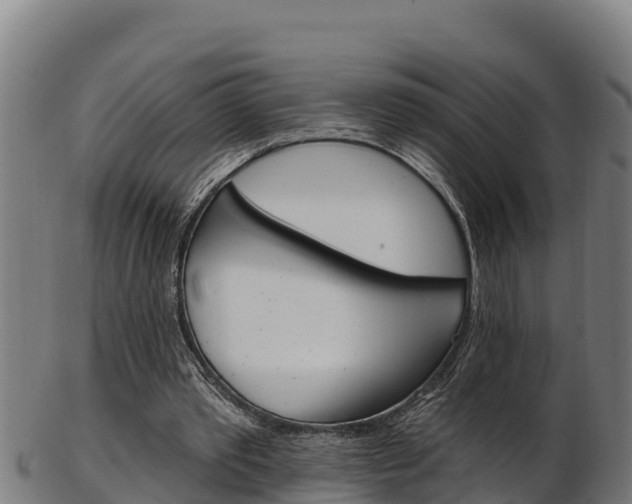 X0000103470389200809121125