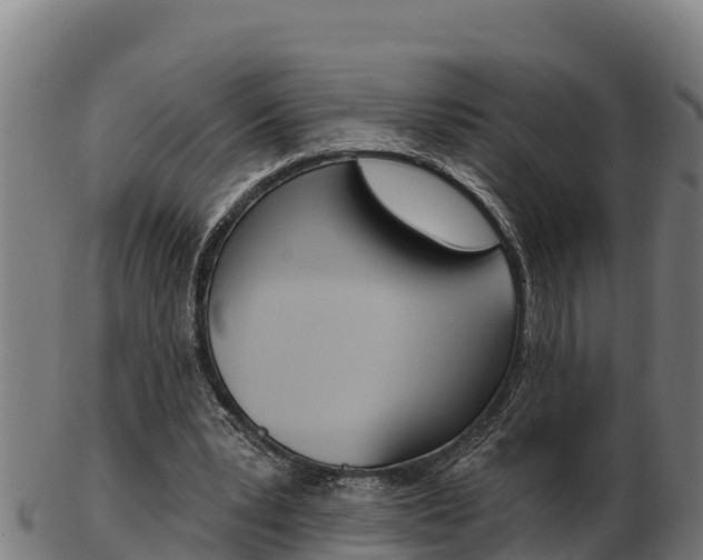 X0000103470391200809121124