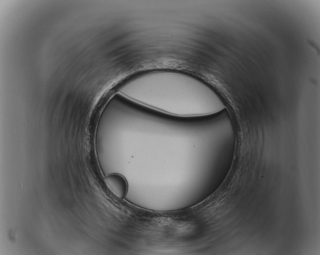 X0000103470392200809121124