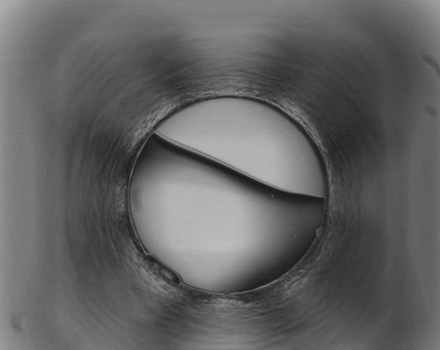 X0000103470393200809121124