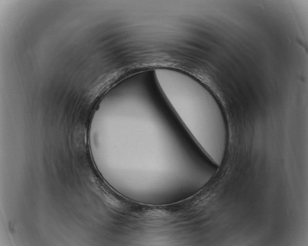 X0000103470397200809121124
