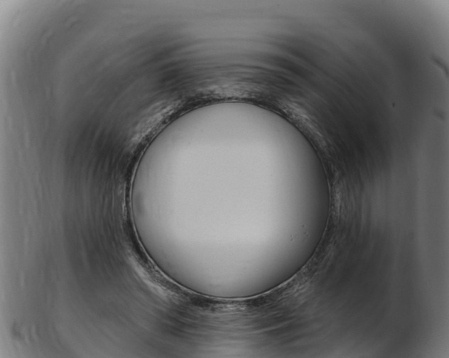 X0000103470398200809121124