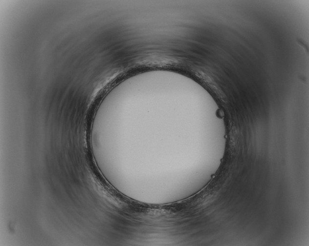 X0000103470399200809121124