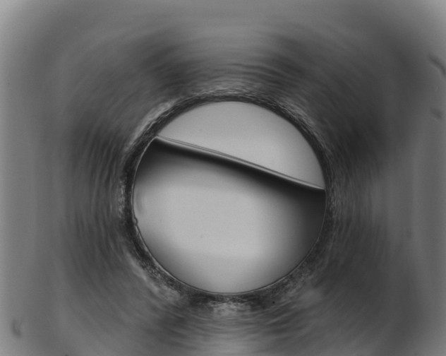 X0000103470400200809121124