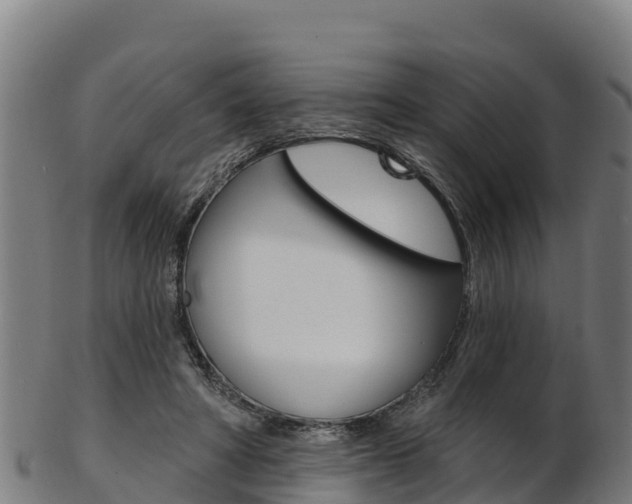 X0000103470402200809121124