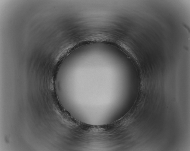 X0000103470403200809121124