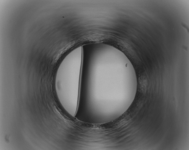 X0000103470404200809121124