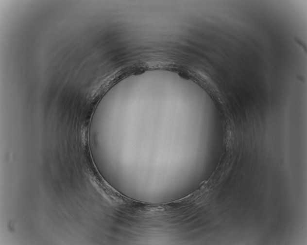 X0000103470405200809121124