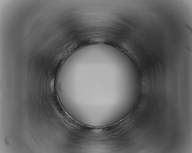 X0000103470406200809121124