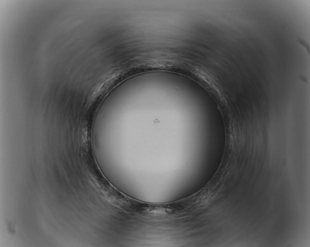 X0000103470407200809121124