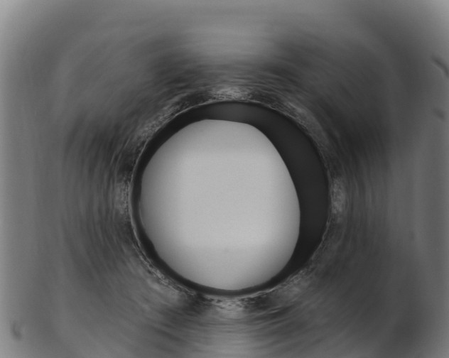 X0000103470409200809121124
