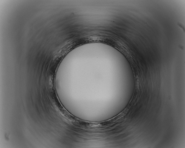 X0000103470410200809121124