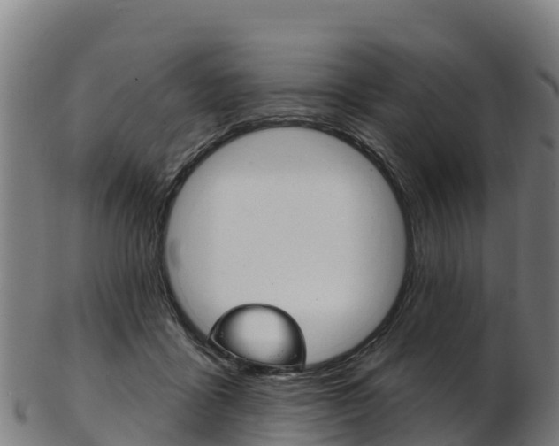 X0000103470411200809121124