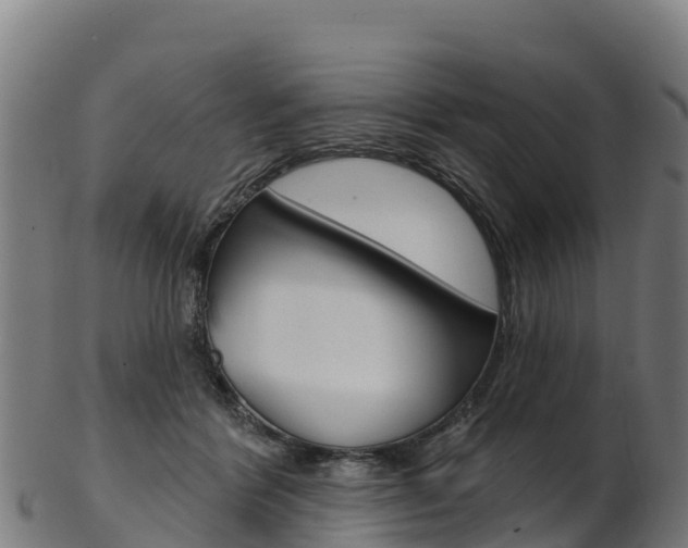 X0000103470412200809121124