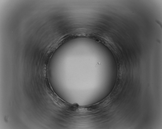 X0000103470413200809121124
