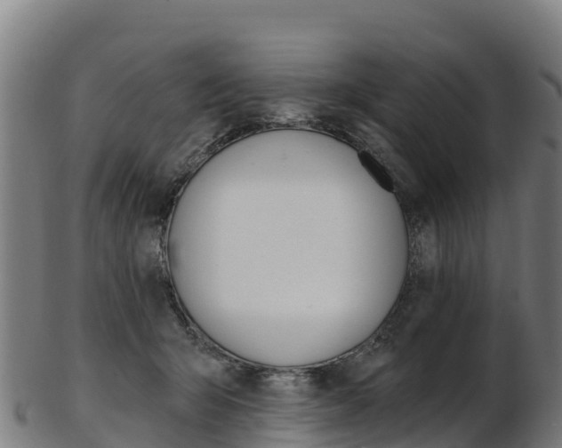 X0000103470415200809121124
