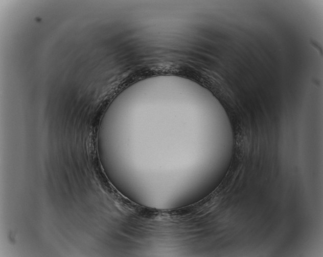 X0000103470416200809121124