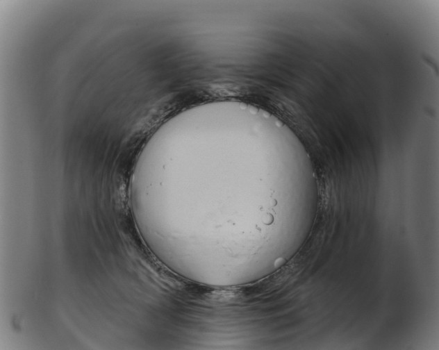 X0000103470418200809121124