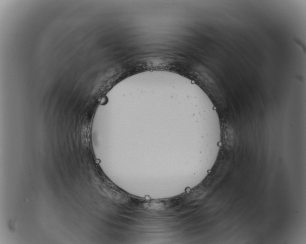 X0000103470419200809121124