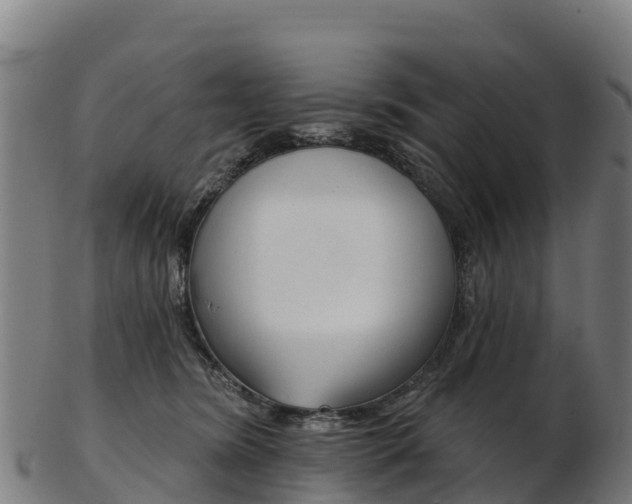 X0000103470420200809121124