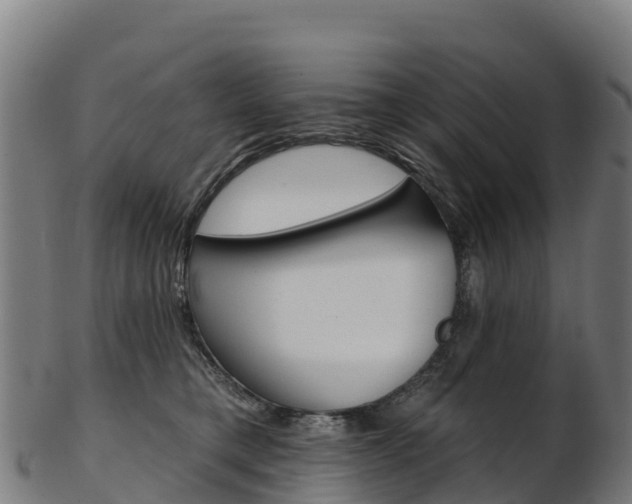X0000103470421200809121124