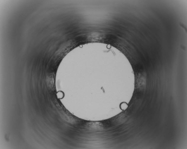 X0000103470427200809121124