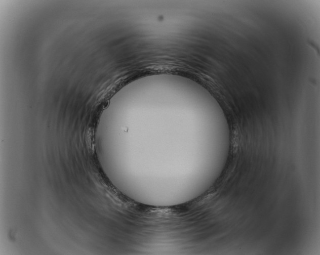 X0000103470428200809121124