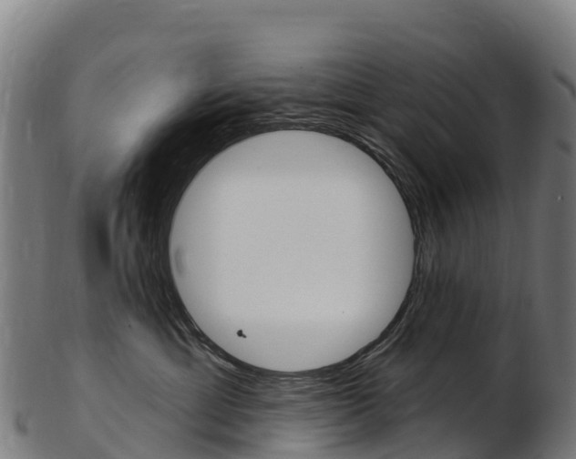 X0000103470429200809121124